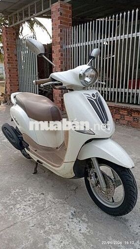 Tay ga Fi Nozza giấy tây Ninh 