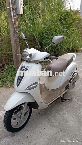 Tay ga Fi Nozza giấy tây Ninh 