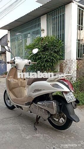 Tay ga Fi Nozza giấy tây Ninh 