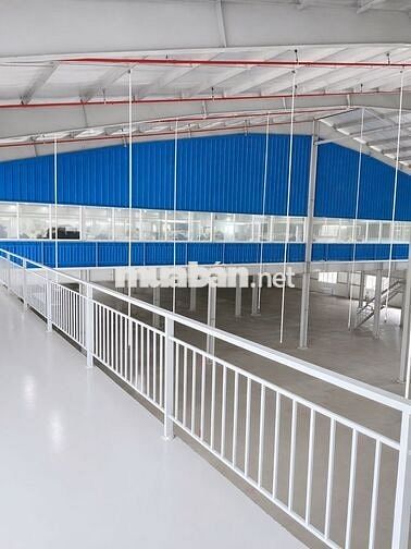 CHO THUÊ KHO XƯỞNG TRONG KCN HUYỆN ĐỨC HÒA – DIỆN TÍCH LỚN, GIÁ TỐT