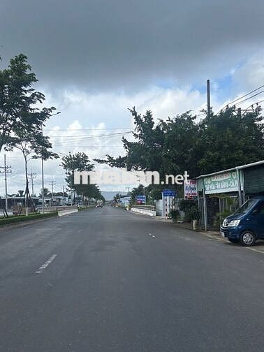 Đất Thổ cư mặt tiền Cây Thông Trong