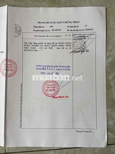 BÁN ĐẤT ĐẸP TẠI KHU VỰC BÌNH TÂN - ĐẤT ĐẸP CẦN BÁN GẤP