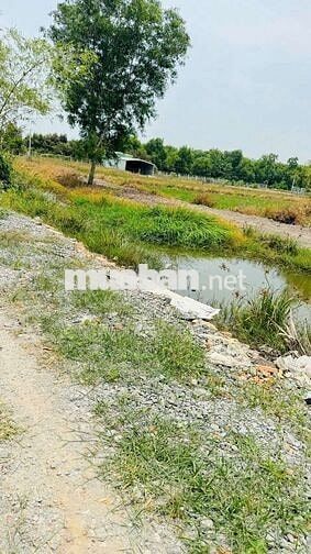 TP. HỒ CHÍ MINH:  17X46m tổng 774m2 tại Phú An: Chốt 390 triệu cả lô!