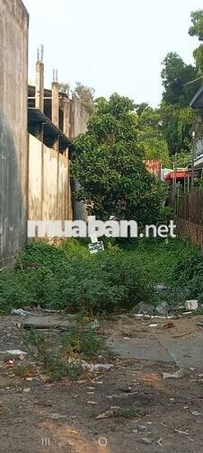 BÁN ĐẤT ĐƯỜNG TRẦN VĂN GIÀU, ĐỐI DIỆN KHU CÔNG NGHIỆP  LÊ MINH XUÂN
