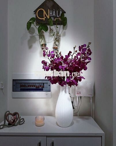 Em chính chủ cần bán nhanh căn 2PN1WC tại Mizuki Park giá 3ty8 full NT