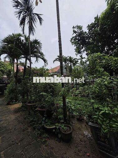 CHO THUÊ NHÀ KIỆT 700M2 KIỆT NGUYỄN PHƯỚC NGUYÊN