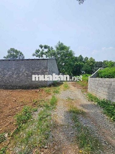 chính chủ bán đất nam phương tiến, chương mỹ, hà nội