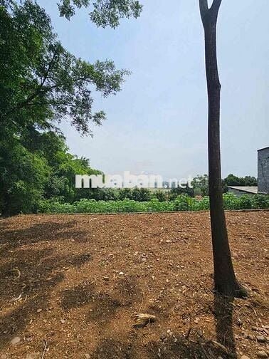 chính chủ bán đất nam phương tiến, chương mỹ, hà nội