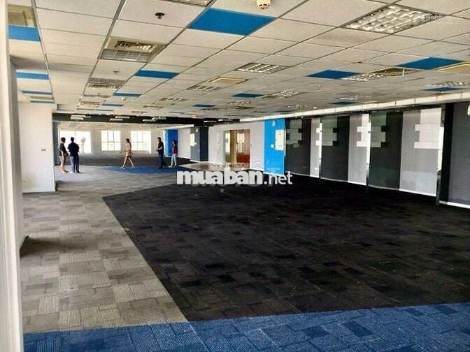 Cho thuê văn phòng 250 - 5.000 m2, Quận 11