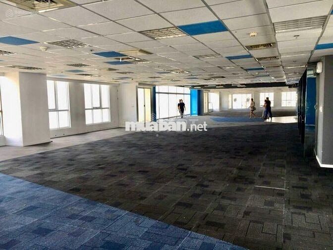 Cho thuê văn phòng 250 - 5.000 m2, Quận 11