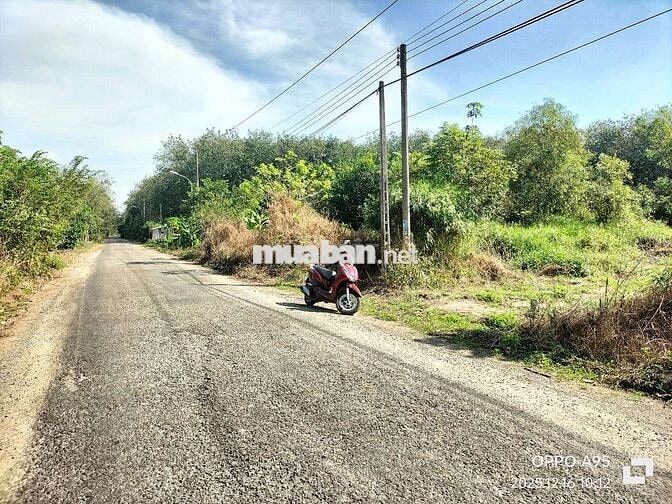 350m(5*70) mặt tiền đường chánh phú hòa, phường Chánh Phú Hòa TP HCM 