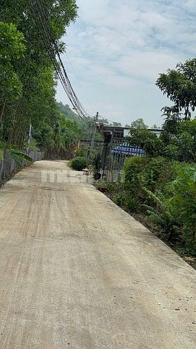 Góc vườn nhỏ 1.000m² tại Định Quán - Sổ sẵn cầm tay, giá chỉ 400 triệu