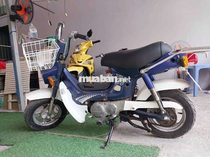 Honda Chaly 1986 Xanh Trắng