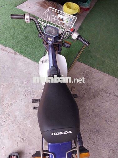 Honda Chaly 1986 Xanh Trắng