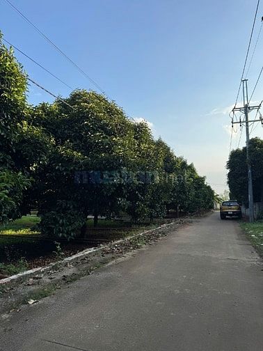 Chỉ 775tr sở hữu đất thổ cư sổ riêng, gần chợ và KCN Dầu Giây, dân cư 