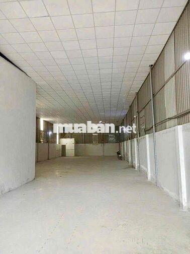 Bán Đất Thổ Cư Mặt Tiền Tặng Nhà Xưởng lớn