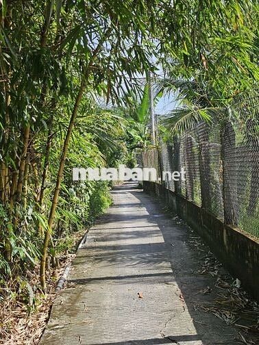 Đất nền Mỹ Phú, Mỹ Phong, tp Mỹ Tho
