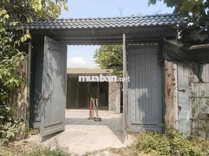 Nhà vườn sân rộng rãi, 8*20m 2pn gần ngã ba giồng. hẽm đường xtt12