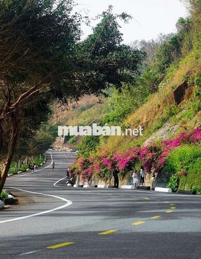 BÁN ĐẤT ĐƯỜNG NGUYỄN TẤT THÀNH _ VỊ TRÍ ĐẸP & LV CHÍNH CHỦ 