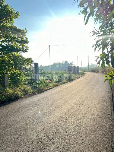 ĐÓN SÓNG DU LỊCH 2026 2.100M² VIEW HỒ TRỊ AN SẴN THỔ CƯ GIÁ CHỈ 1TR/M²