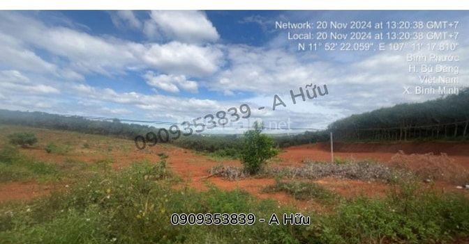 Chính chủ bán đất 1.221m² Bù Đăng, Bình Phước – Giá 1,5 tỷ