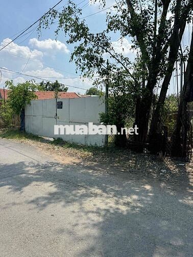 TÌM ĐÂU RA XƯỞNG 400M² MÀ GIÁ CHỈ 6 TRIỆU?