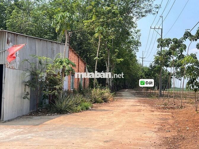 Bán lô đất 500m2 View Sông, phường Chơn Thành, thành phố Đồng Nai