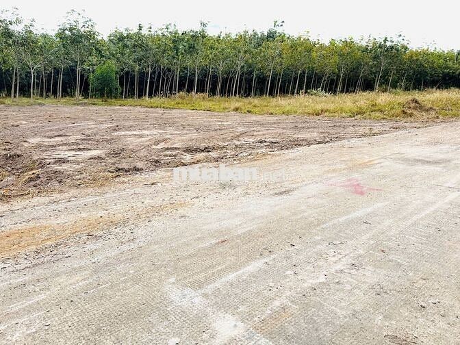 2 LÔ LIỀN KỀ, CÁCH KCN CHỈ 1,5KM GIÁ 285TR, MINH HƯNG, CHƠN THÀNH