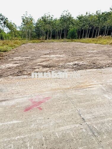 2 LÔ LIỀN KỀ, CÁCH KCN CHỈ 1,5KM GIÁ 285TR, MINH HƯNG, CHƠN THÀNH