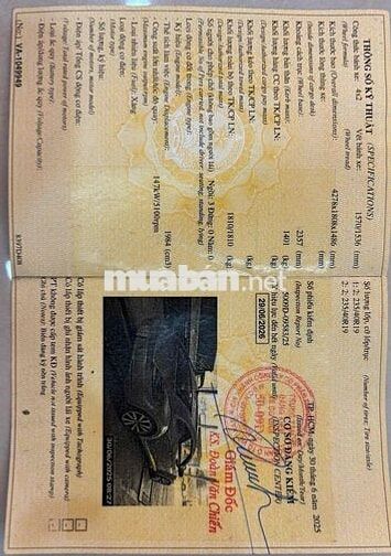 Volkswagen Beetle màu Vàng