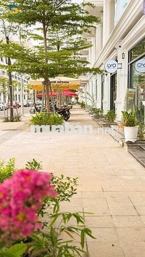 CĂN KỀ  GÓC 2 MẶT VIEW CÔNG VIÊN GIÁ CHỈ 1TY6, KD DÒNG TIỀN 40TR/THÁNG