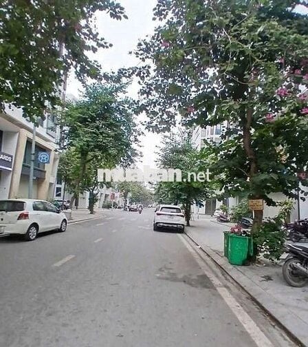 Cần bán gấp đất đường Lạc Hồng,Thanh Xuân,Hà Nội