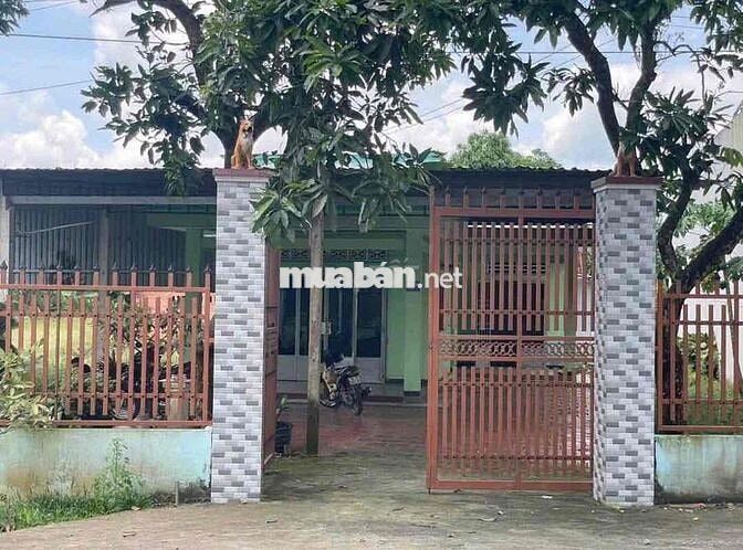 Thanh lý 1000m2 có nhà cấp 4 củ giá 130 triệu hết đất