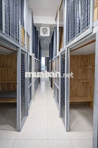 💥Sleepbox Rộng Rãi - Thoáng Mát - Ngay Chợ Tân Mỹ💥
