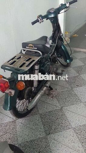 Honda Cub 81 50cc Xanh lá