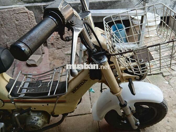 Honda Chaly màu Kem