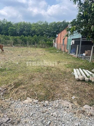 Đất thổ cư ngay trường học cấp 2 Phước Thạnh, 5x29 giá 4xx tr