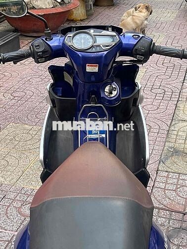 Bán  Nouvo 6 GP 2015 Xanh bạc,Bstp chính chủ