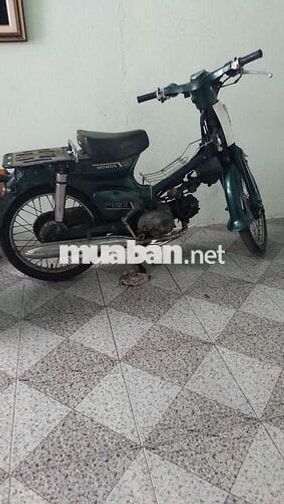 Honda Cub 81 50cc Xanh lá