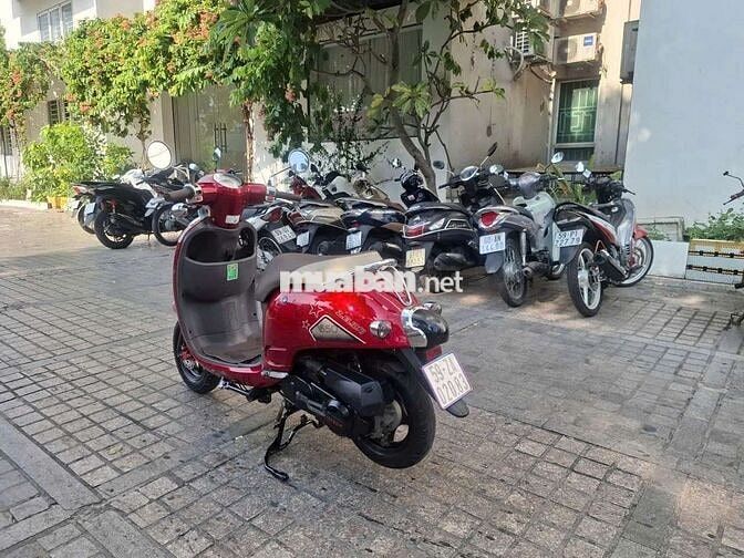 xe coopy 50cc chính chů