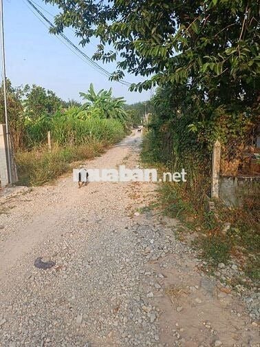 CẦN BÁN LÔ ĐẤT HAI MẶT TIỀN 6X44 (60MTC)