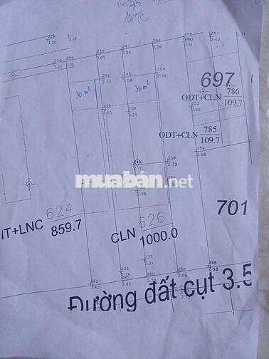 CẦN BÁN LÔ ĐẤT HAI MẶT TIỀN 6X44 (60MTC)