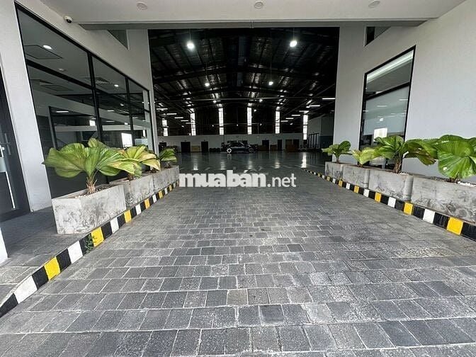 Cho thuê mặt bằng rộng đẹp Cộng Hòa