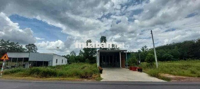 Bán gấp lô đất 300m2 690Triệu Sát Chợ Lai Uyên,Bàu Bàng xây trọ kdoanh