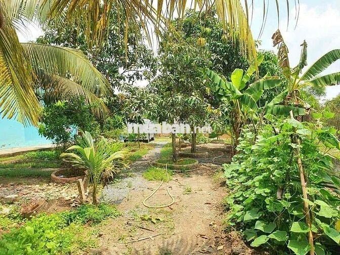 🏡 NHÀ VƯỜN GIÁ TỐT – ĐẦU TƯ NGHỈ DƯỠNG SIÊU HỜI 🏡