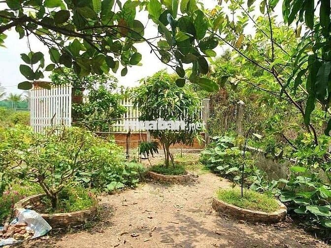🏡 NHÀ VƯỜN GIÁ TỐT – ĐẦU TƯ NGHỈ DƯỠNG SIÊU HỜI 🏡