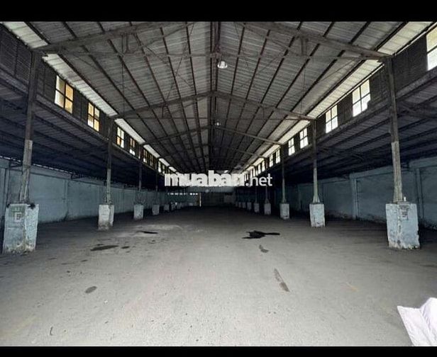 CHO THUÊ KHO 1300M2 NGAY KHU CHẾ XUẤT TÂN THUẬN QUẬN 7ĐƯỜNG CON40F 