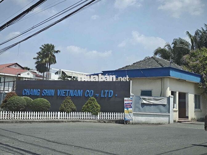Từ 379 triệu/1 nền sổ riêng thổ cư, ngay chợ Thạnh Phú