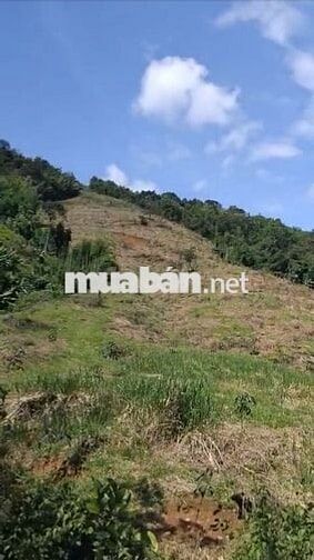 Bán đất tại Nguyễn Thị Minh Khai, 1,2 tỷ, 1150 m2, giá ưu đãi!