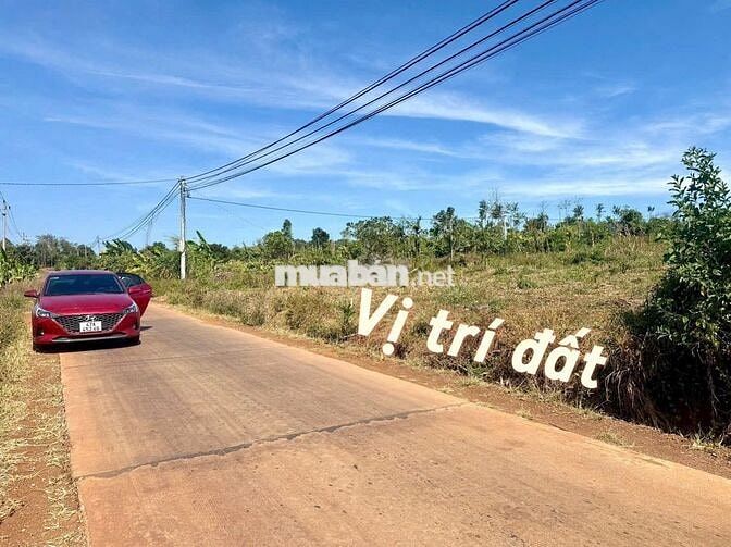 Bán Đất 10x48 Đường 16M 488TR Cách Trung Tâm BMT 30 PhúT